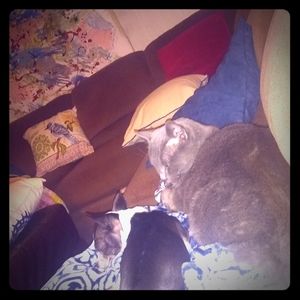 Hope everyone is staying safe ❤️